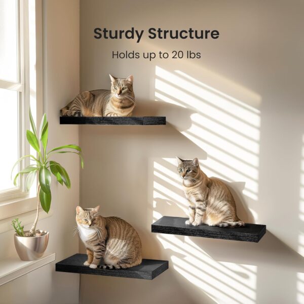 AMADA HOMEFURNISHING Floating Shelves Invisible Wall Mounted 3 Sets, Modern Wood Storage Shelves with Matte Finish, Perfect for Bedroom, Bathroom, Living Room and Kitchen...