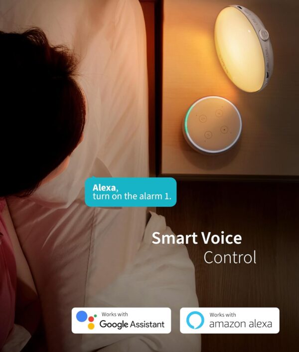 ecozy Sunrise Alarm Clock for Heavy Sleepers, Smart Wake Up Light with Sunrise/Sunset Simulation, App & Voice Controlled, Natural Sounds & FM Radio, 4 Alarms & Snooze, 8 Colors...