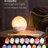 ecozy Sunrise Alarm Clock for Heavy Sleepers, Smart Wake Up Light with Sunrise/Sunset Simulation, App & Voice Controlled, Natural Sounds & FM Radio, 4 Alarms & Snooze, 8 Colors...
