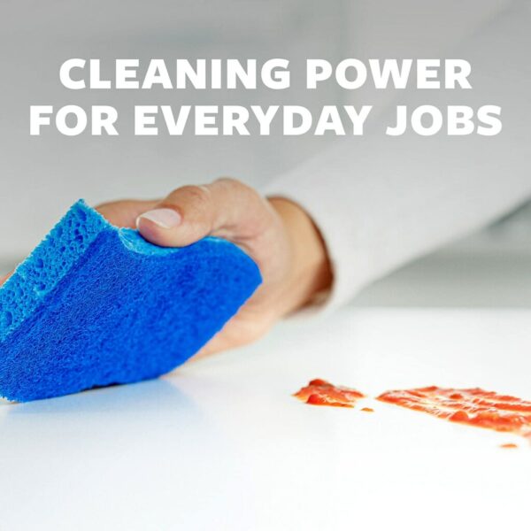 Scotch-Brite Scrub Sponge, 3 Pack, Multipurpose Sponges for Dishes ,Garage, Outdoor, Kitchen